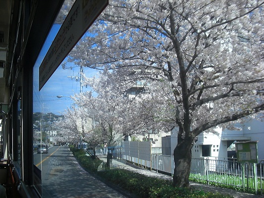 2015.4.4. バスからの桜