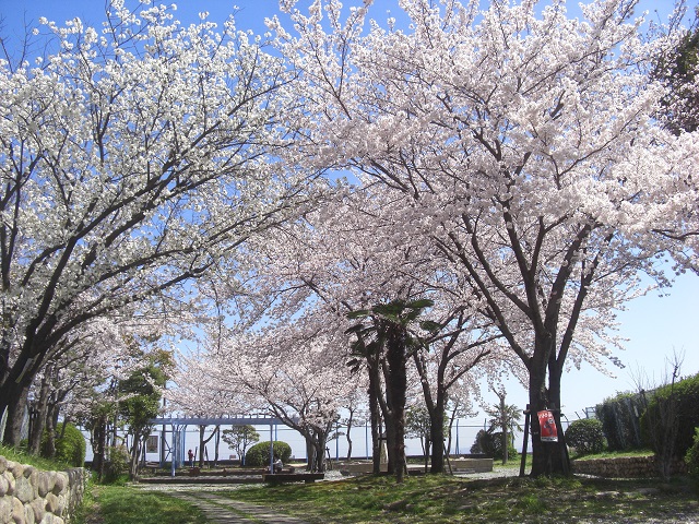 2015.4.2. 新幹線公園