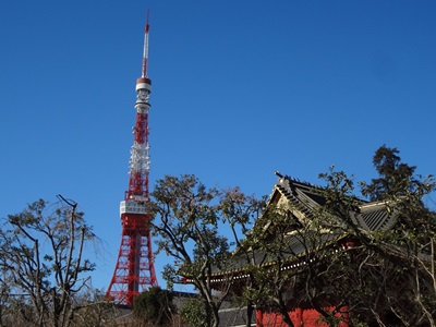 東京タワー＆増上寺