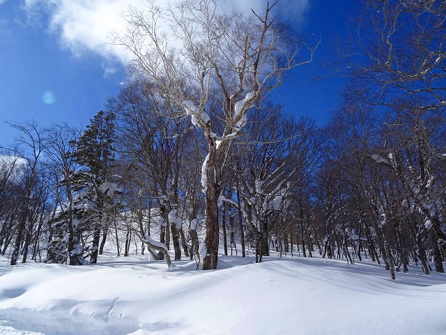 2015 スキー