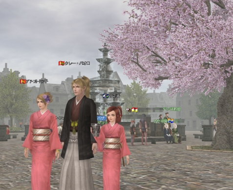 和服と桜