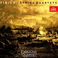 panocha_quartet_fibic_string_quartets.jpg