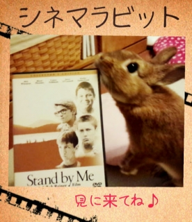 cinema-rabbit.jpg