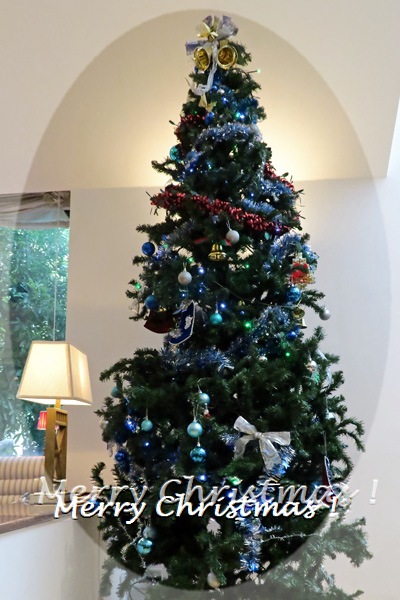 Christmas-tree_JTrim.jpg