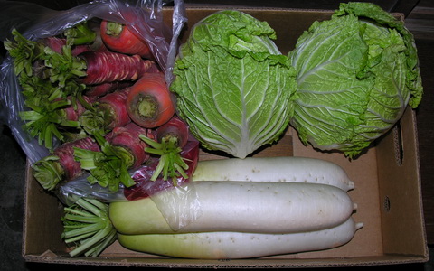 お正月用の野菜が届きました