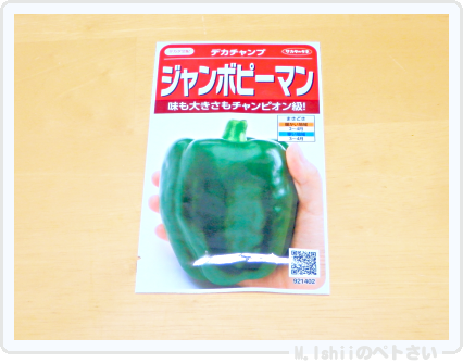 夏野菜の種2015_01