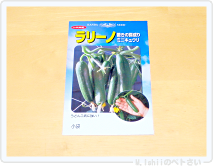 夏野菜の種2015_02