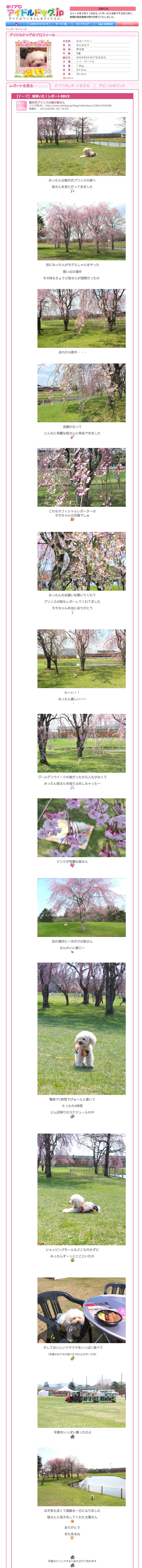 軽井沢プリンスの森の桜さん