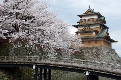 諏訪　高島城の桜04