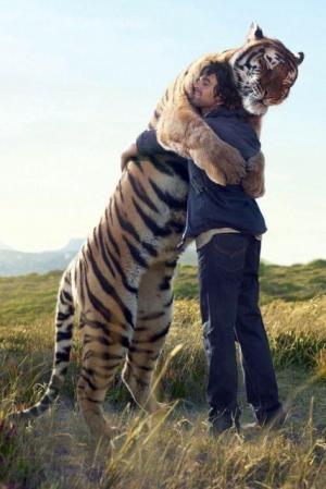 虎を抱きしめる