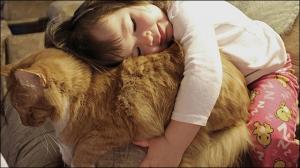 猫に抱きつく子供